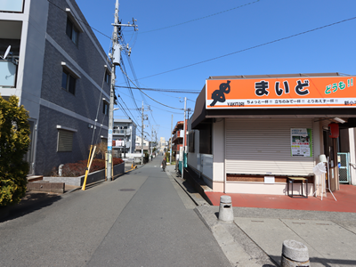 sample